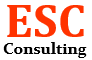 ENERGY SOLUTIONS CONSULTING